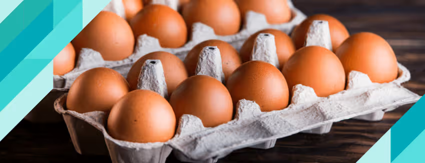 Huevos, alimento habitual en una dieta equilibrada