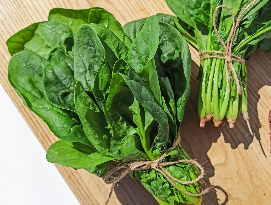 Espinacas, vegetal de hoja verde